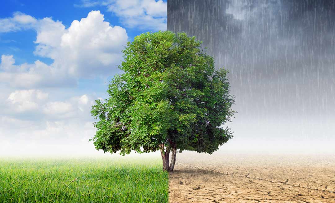 Acre entra no Consórcio Interestadual de enfrentamento a mudanças climáticas do Brasil