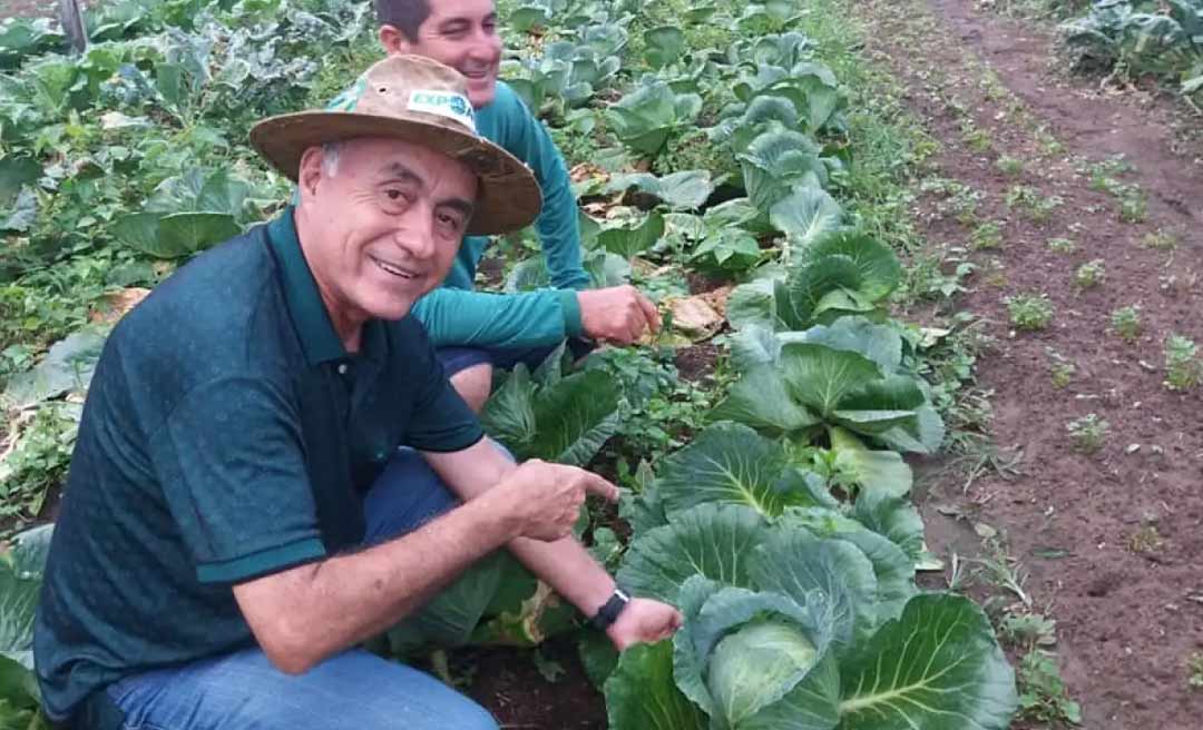 Bocalom quer transformar os terrenos baldios da capital em hortas comunitárias