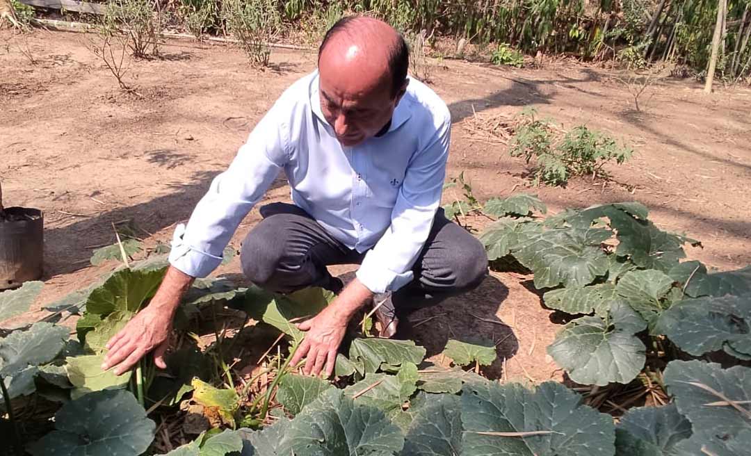 Bocalom visita viveiro de plantas ornamentais e fala sobre novo paisagismo de canteiros e rotatórias de Rio Branco