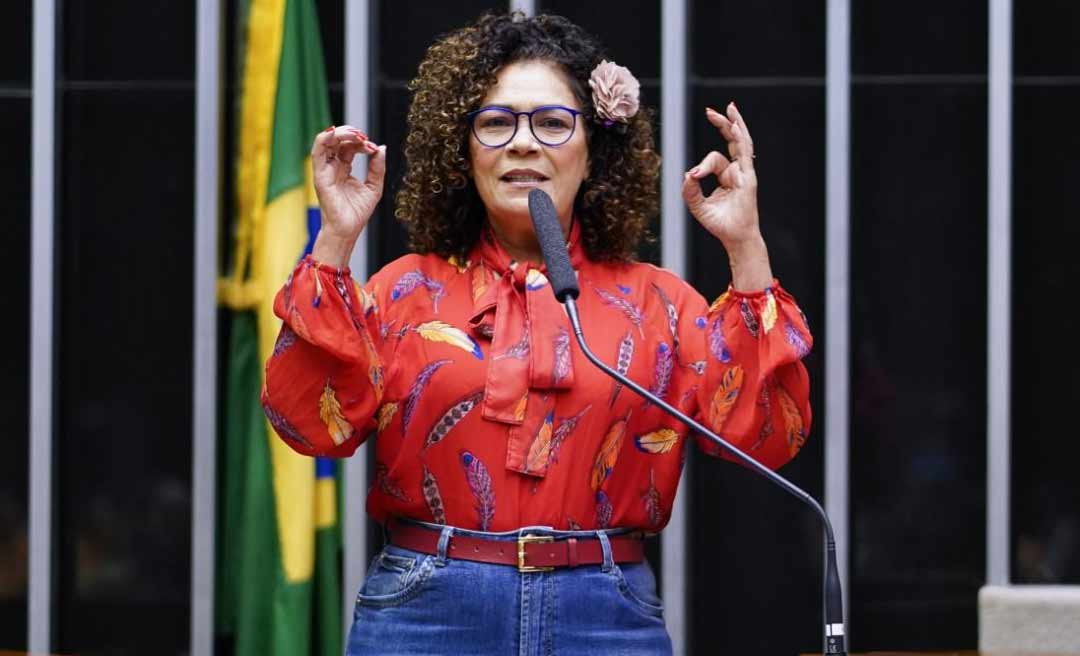 Em discurso na tribuna, Perpétua agradece votos e critica regras que prejudicam políticos bem votados