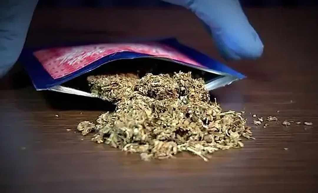 Droga K9 que transforma usuários em “zumbis” já circula no Acre, confirma PC