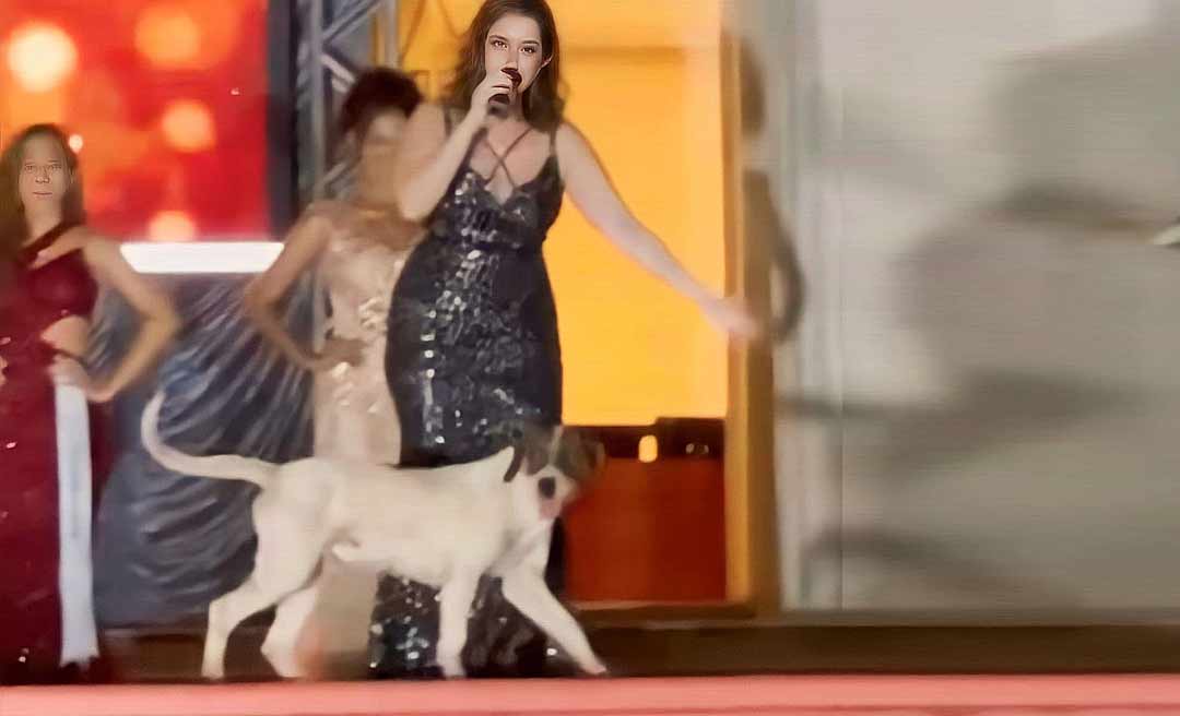 Cachorro “desfila” na passarela e “rouba” a cena no Miss Acre 2023