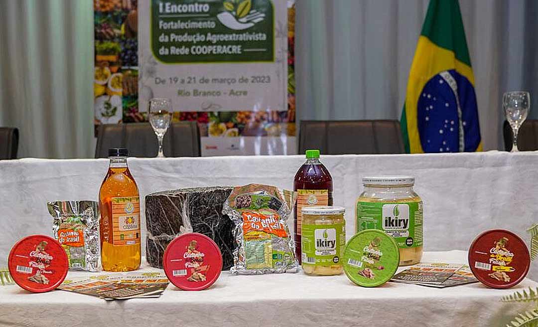 Cooperacre: modelo de negócio que alia sustentabilidade ambiental e geração de renda para extrativistas e produtores