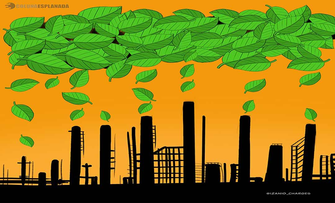 Garimpando solução