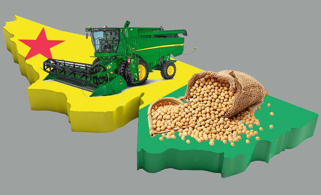 Acre lidera aumento na produção de soja sem derrubar uma árvore usando áreas degradadas e de pastagens