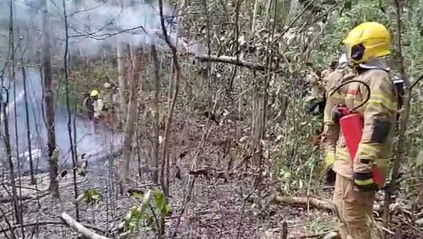 GRAVÍSSIMO: Avião que caiu em Rio Branco estaria transportando combustível