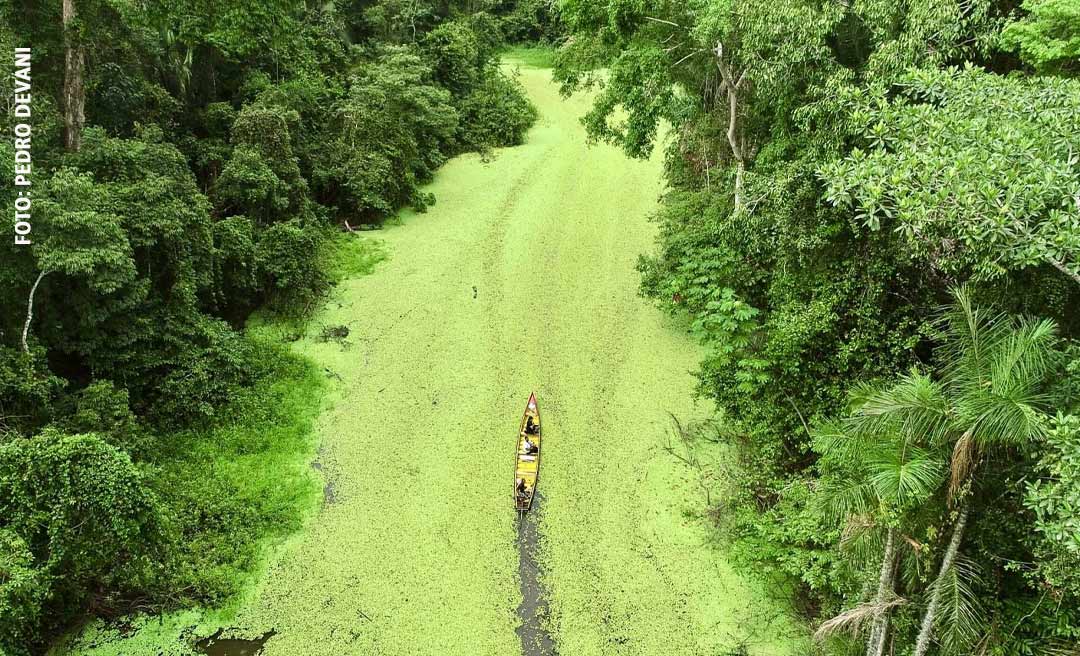 De olho em uma fatia do Fundo Amazônia, Acre apresenta projetos para obter recursos emergenciais