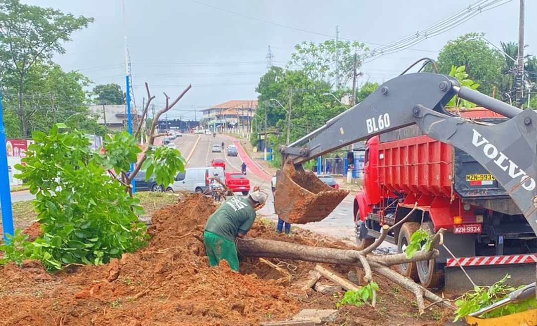 Semeia faz remoção de árvores e grama na Dias Martins para início das obras de elevado na capital