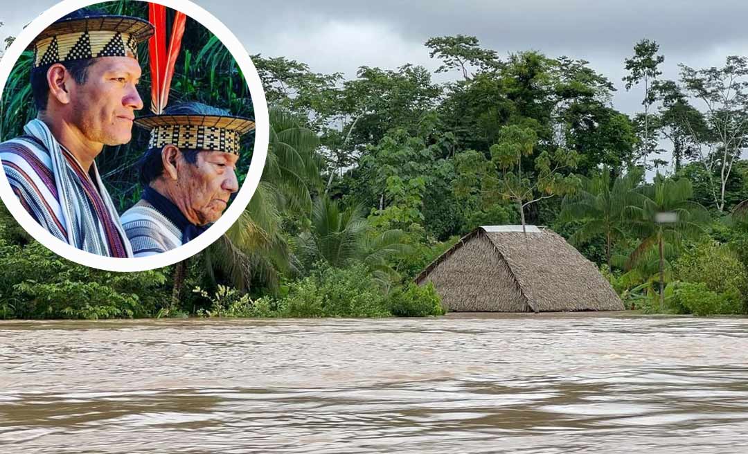 Enchente do Amônia gera insegurança alimentar na terra dos ashaninkas