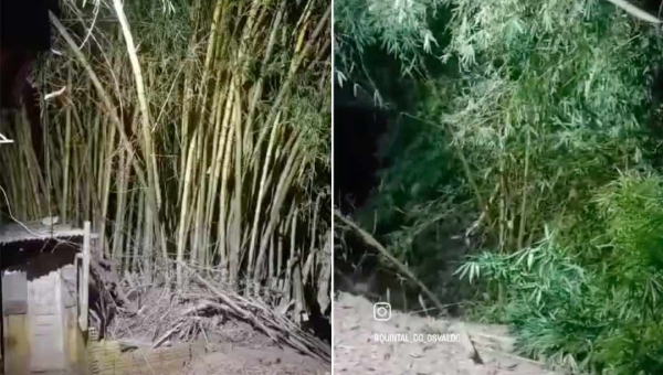 Na Capital, desbarrancamento atinge o Quintal do Osvaldo; veja o vídeo