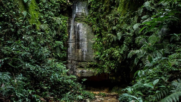 Acre apresenta redução de 66% nos alertas de desmatamento no início de março