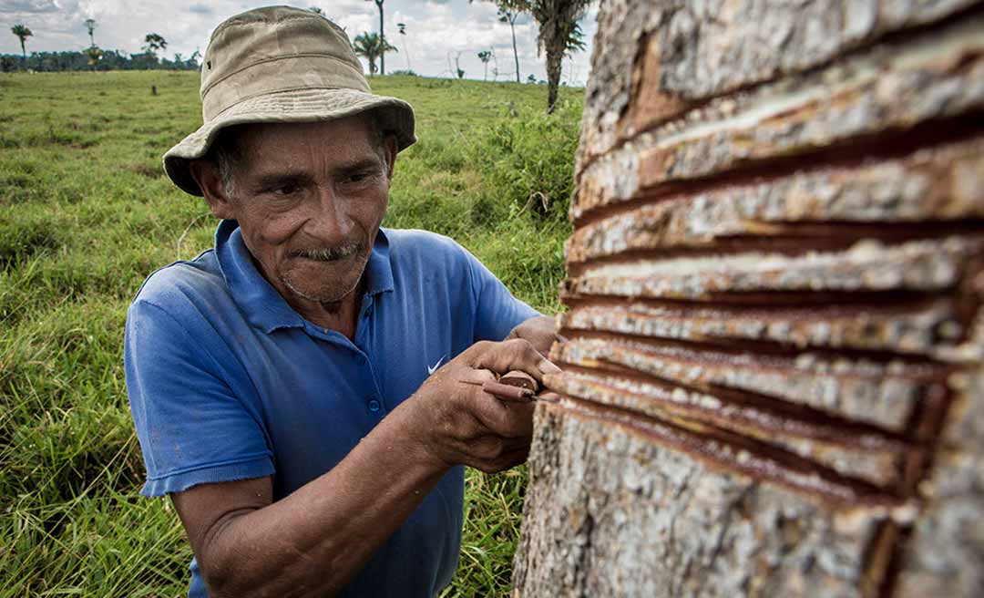 Bolsonaro vai a Senador Guiomard conhecer estrada de seringa