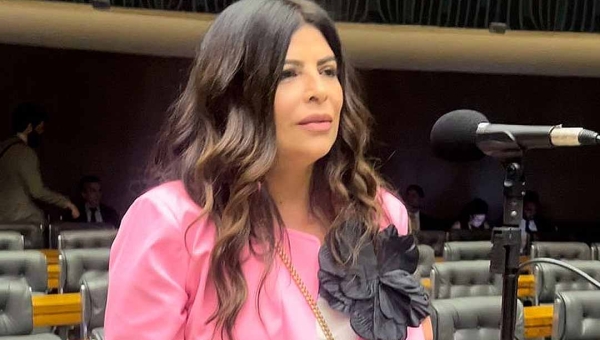 Antônia Lúcia quer aumentar a pena para abusadores de crianças, que tenham relação familiar ou de parentesco com a vítima