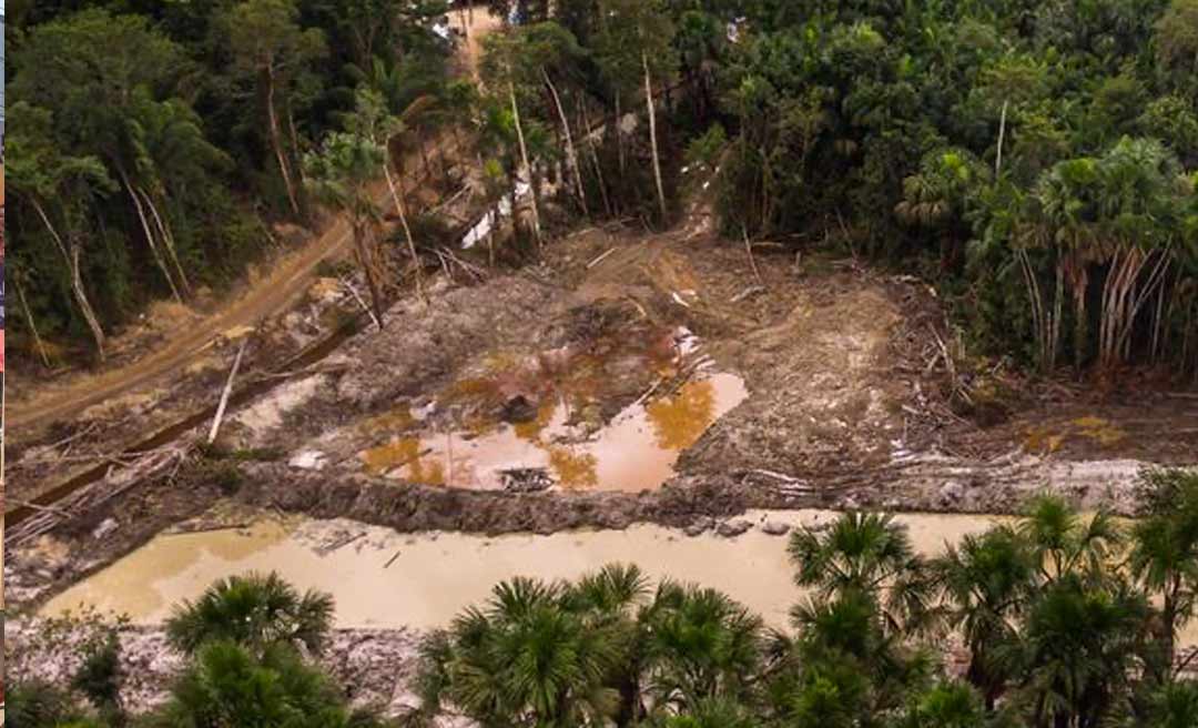 Fundo Amazônia aprova R$ 98 milhões para combate ao desmatamento no Estado do Acre