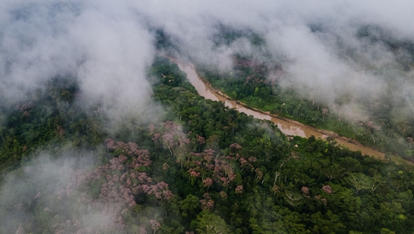 Estudo liderado pelo CNJ aponta que terras indígenas do Acre são usadas como rotas para o narcotráfico peruano e indígenas estão ameaçados