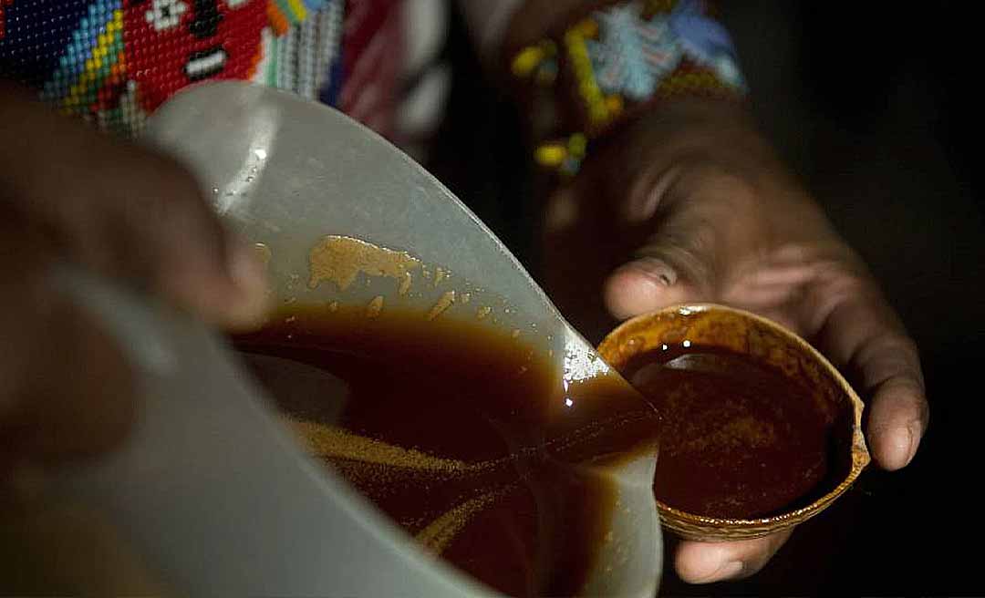 MPF apura se polícia vem tendo atuação adequada em relação a casos envolvendo consumo de ayahuasca