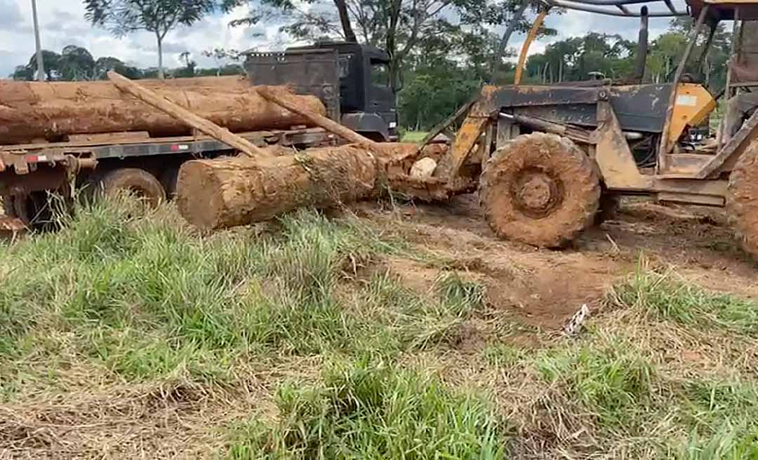 Operação conjunta de órgãos do Estado e da União resulta em apreensão de madeira em Capixaba