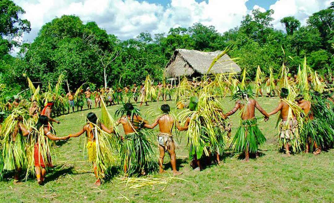 Acre tem sete territórios indígenas “sem providências” adotadas pela Funai para sua demarcação, aponta Conselho