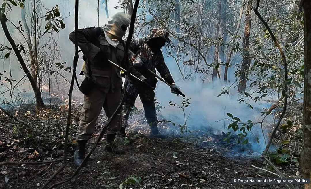 Ministério da Justiça autoriza envio da Força Nacional para combater incêndios em Boca do Acre e outros quatro municípios do Amazonas