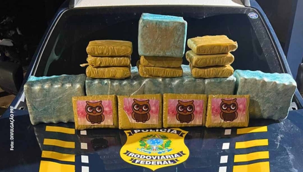 PRF apreende quase 33 kg de skunk na BR 364 em Rio Branco