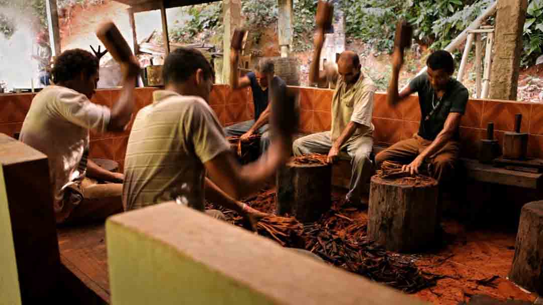 WhatsApp Image 2024 07 05 at 17.58.42