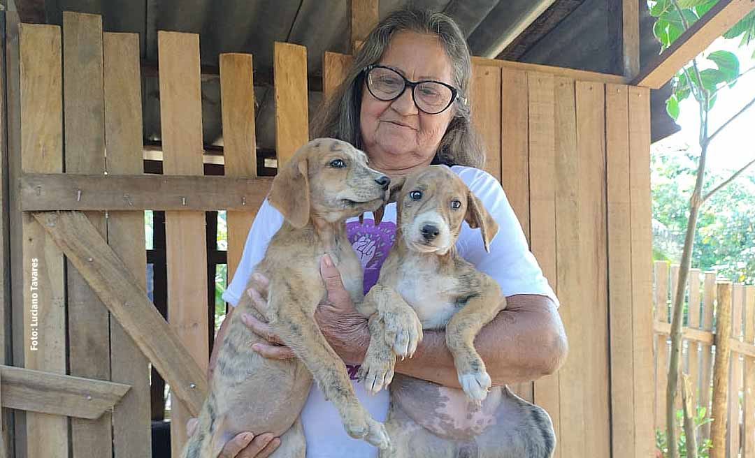 O amor animal de dona Maricilia - Conheça dona Maricilia, a idosa que cuida sozinha de 80 cães em Rio Branco
