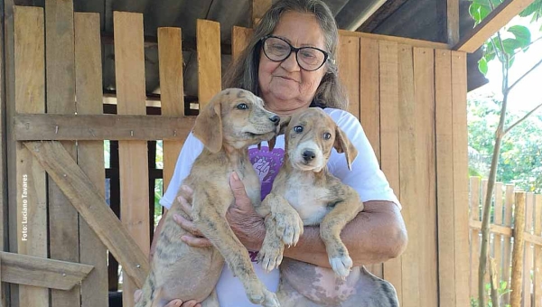 O amor animal de dona Maricilia - Conheça dona Maricilia, a idosa que cuida sozinha de 80 cães em Rio Branco
