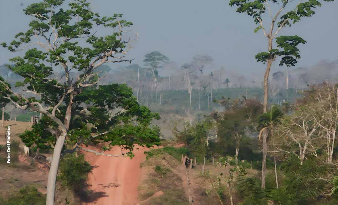 Com 544 focos de incêndio em julho, Acre registra o maior número de queimadas dos últimos oito anos