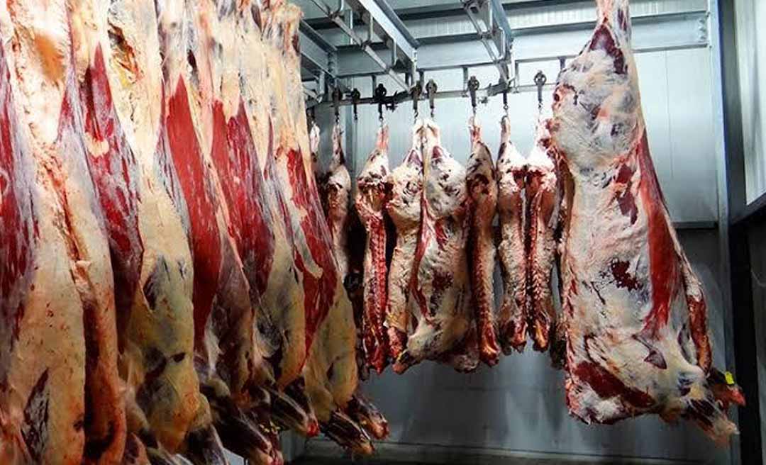 Operação Carne Fria II: Embargo de frigorífico em Boca do Acre repercute e não há previsão de liberação
