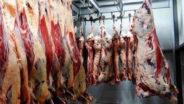 Operação Carne Fria II: Embargo de frigorífico em Boca do Acre repercute e não há previsão de liberação