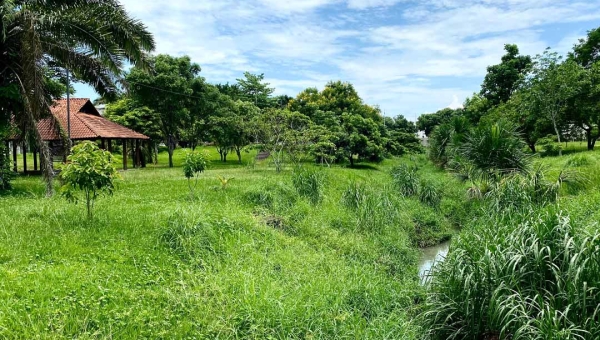 Matagal “toma de conta” de um dos trechos do Canal da Maternidade na área central de Rio Branco