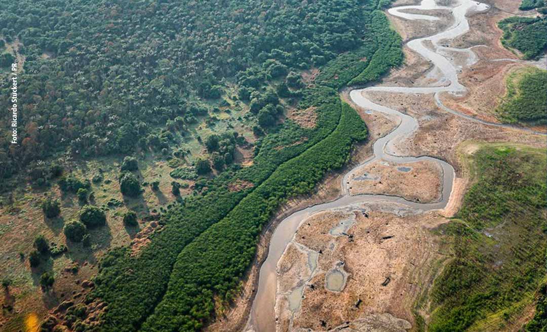 Seca na Amazônia acreana será mais intensa nos próximos anos, aponta estudo