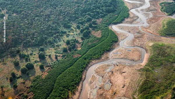 Seca na Amazônia acreana será mais intensa nos próximos anos, aponta estudo