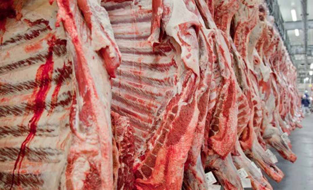 Número de bovinos abatidos no 2º trimestre de 2024 no Acre cresce, mostra pesquisa