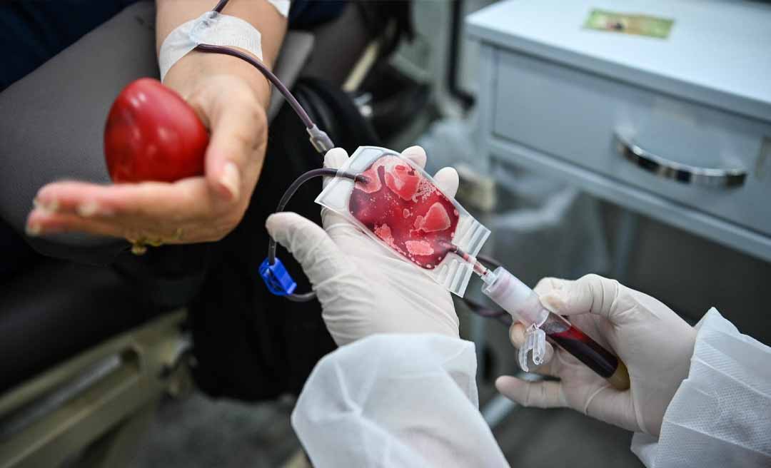 No Dia Nacional do Doador de Sangue, veja a importância de um simples ato capaz de salvar vidas