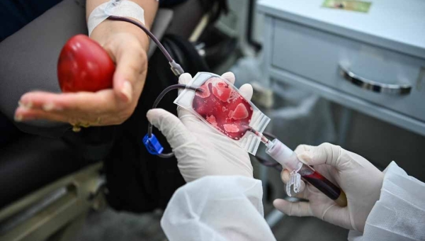 No Dia Nacional do Doador de Sangue, veja a importância de um simples ato capaz de salvar vidas