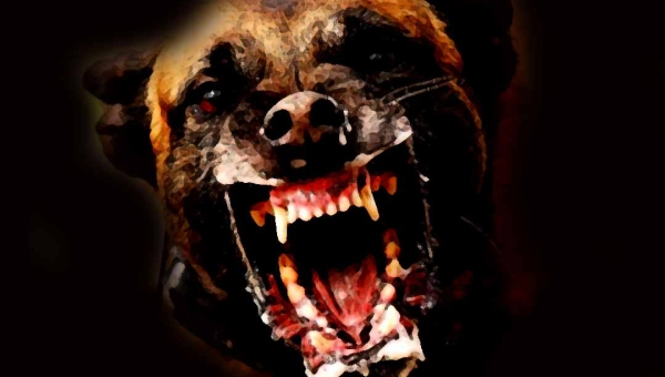 Donos de cachorros, soltos em ruas de bairro de Rio Branco, podem responder criminalmente: ‘conduta danosa’