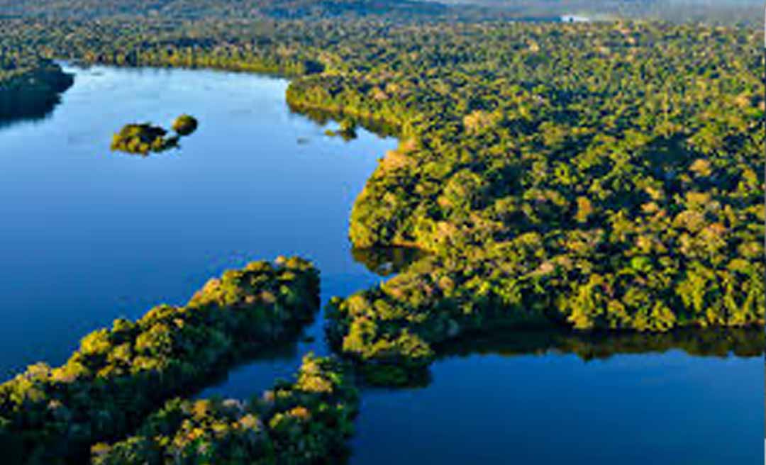 China compra por R$ 2 bilhões reserva brasileira rica em urânio e nióbio, na Amazônia
