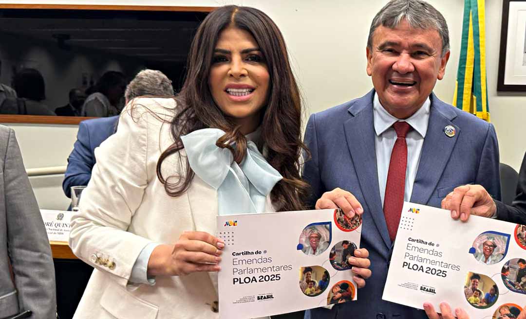 Deputada federal Antonia Lúcia recebe ministro Wellington Dias na Câmara e trata a respeito do Orçamento para 2025