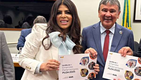 Deputada federal Antonia Lúcia recebe ministro Wellington Dias na Câmara e trata a respeito do Orçamento para 2025