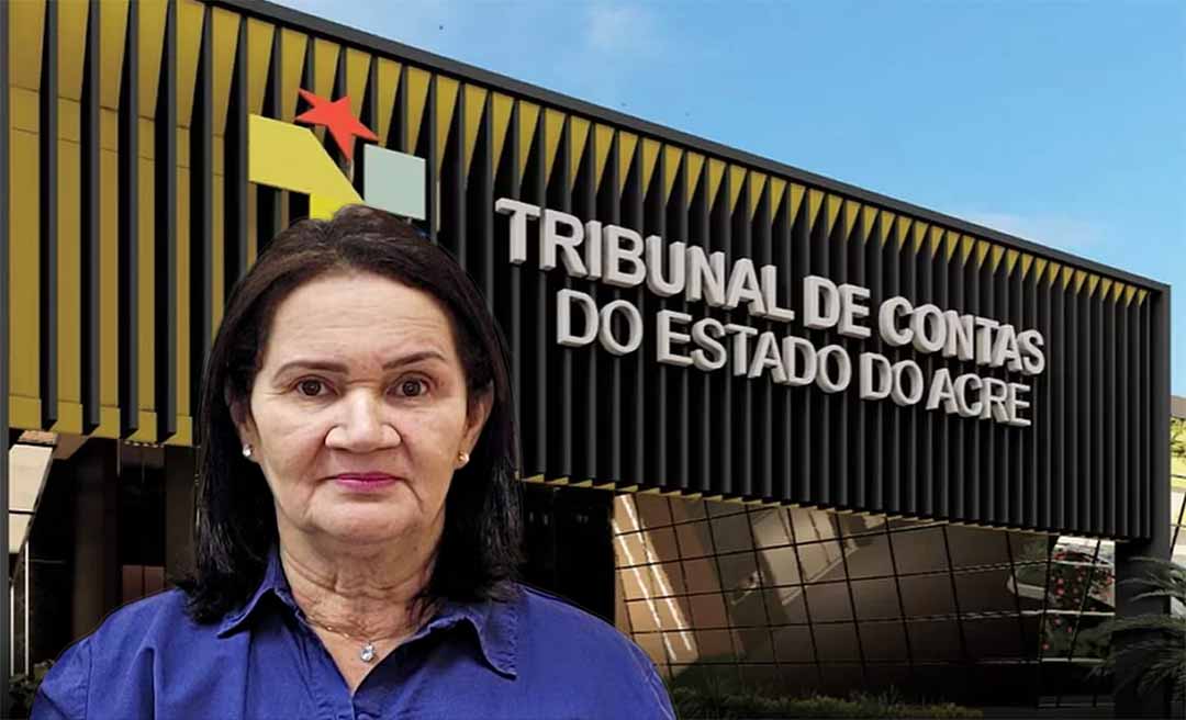 Conselheira Dulcinéa Benício é eleita presidente do TCE para o biênio 2025/2026