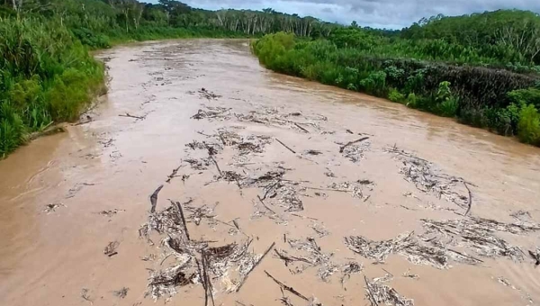 Nível do rio Acre sobe mais de seis metros em 24 horas em Assis Brasil e gera preocupação, diz Defesa Civil em Rio Branco