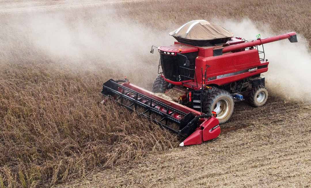 Apesar do aumento na área plantada com soja, produção no Acre sofre leve queda, aponta Conab