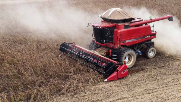 Apesar do aumento na área plantada com soja, produção no Acre sofre leve queda, aponta Conab