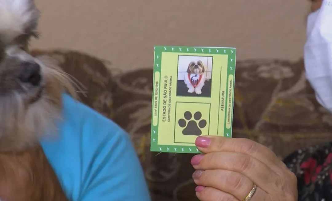 Cães e gatos vão ganhar carteira de identidade nacional