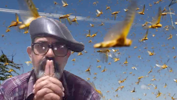 Vidente diz que Acre não terá grandes alagações em 2025, mas prevê “nuvem de gafanhotos que vai devastar a agricultura”