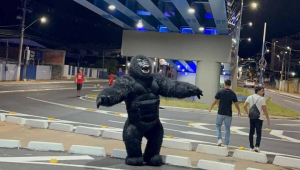 Presença de gorila no elevado da Dias Martins chama atenção