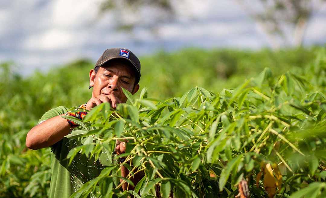 Governo do Acre anuncia mais de R$ 5 milhões para investimentos em gestão territorial, ambiental e enfrentamento às mudanças climáticas em terras indígenas