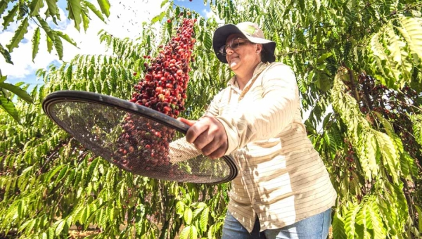 Acre lança pacote de leis para impulsionar agricultura familiar
