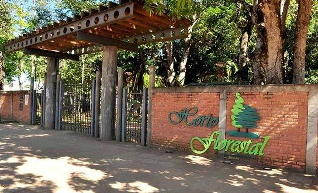 Mulher é vítima de tentativa de estupro no Horto Florestal; agressor atacou e tentou arrastá-la para uma área de mata